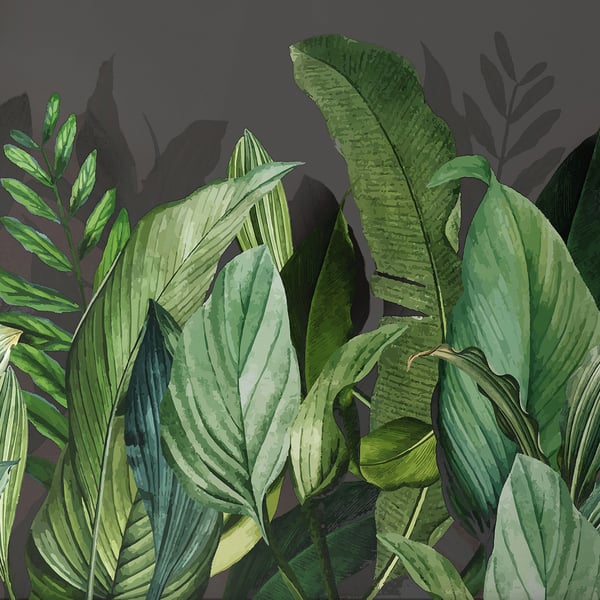 Galerie Wallpaper Product code: 18002 - Tropical Wallpaper Collection - Blackberry Colours - Tropical Forest Design
