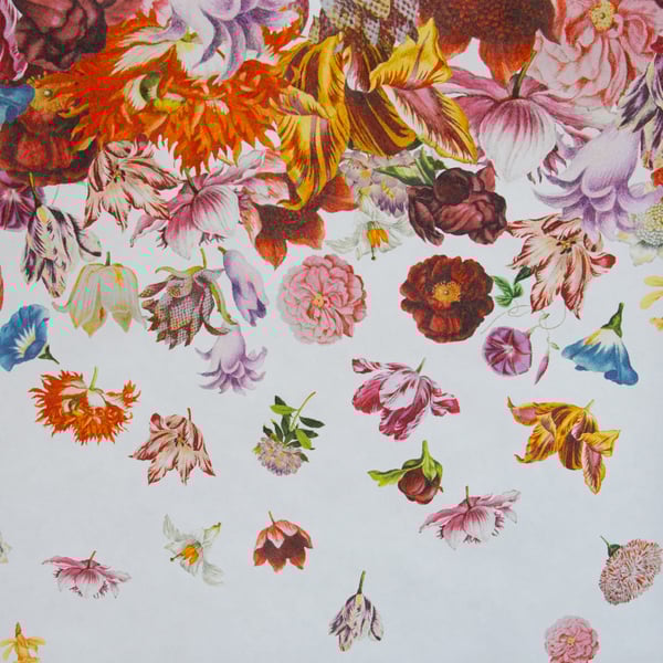 Galerie Wallpaper Product code: 18003 - Tropical Wallpaper Collection - Coconut Colours - Flower Rain Design