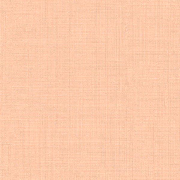 Galerie Wallpaper Product code: JR1004 - Jack N Rose Junior Wallpaper Collection -   