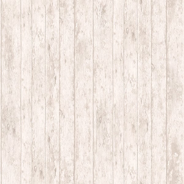 Galerie Wallpaper Product code: JR3401 - Jack N Rose Junior Wallpaper Collection -   