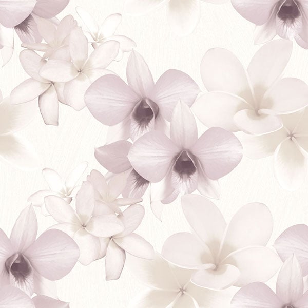 Galerie Wallpaper Product code: PA16830 - Paradisio Wallpaper Collection -   