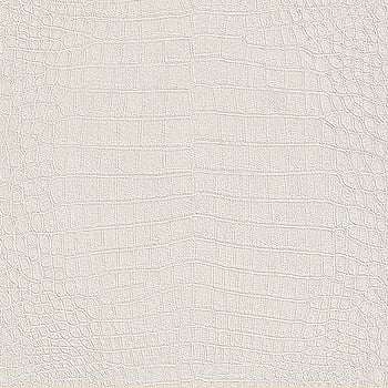 Galerie Wallcoverings Product Code 474169 - African Queen 2 Wallpaper Collection -   