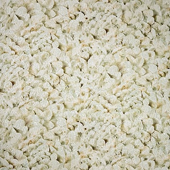 Galerie Wallcoverings Product Code 65304 - Salt Wallpaper Collection - Sage Colours -  