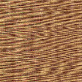 Galerie Wallcoverings Product Code BX10021 - Daisy Bennett Wallpaper Collection - Oranges Colours -  