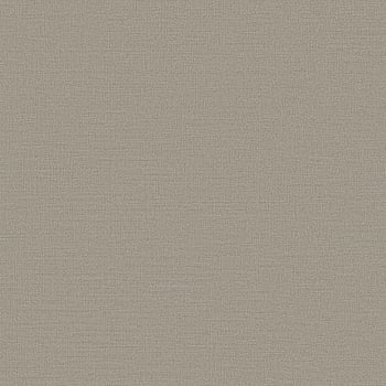 Galerie Wallcoverings Product Code DC30204 - Designer Colours Wallpaper Collection - Beige Colours -  