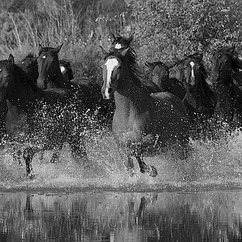 Galerie Wallcoverings Product Code G45278 - Global Fusion Wallpaper Collection -   